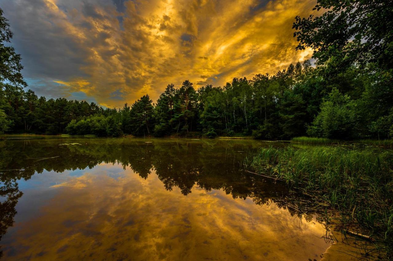 Wohnambiente Am See Faßberg Dış mekan fotoğraf
